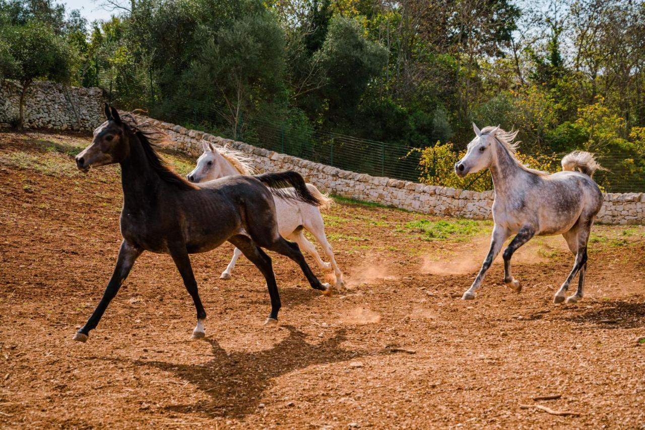 Borgo Del Tempo Ritrovato - Luxury Relais In Puglia Villa Ostuni Eksteriør billede